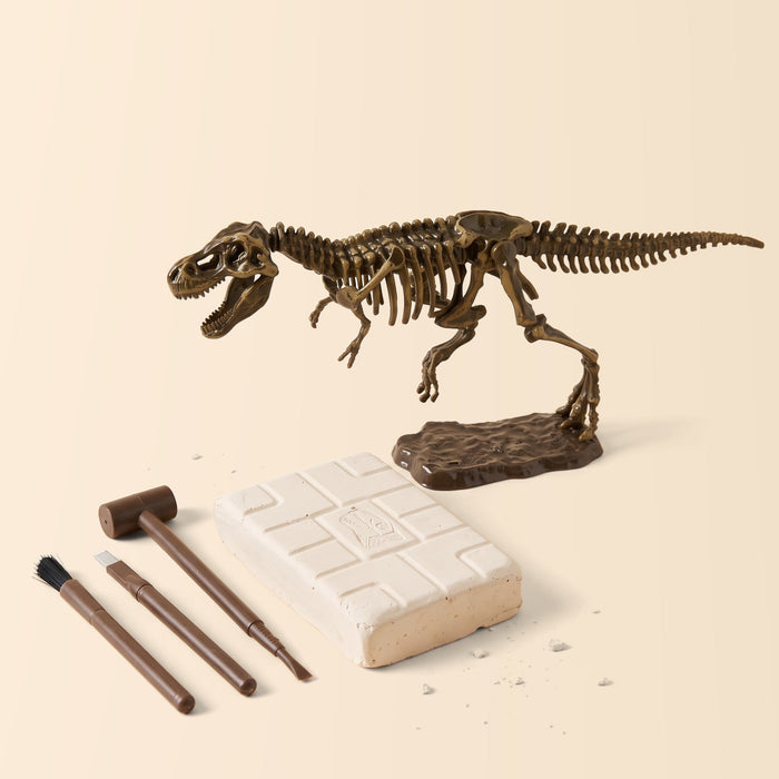 Dinosaur Excavation Kit