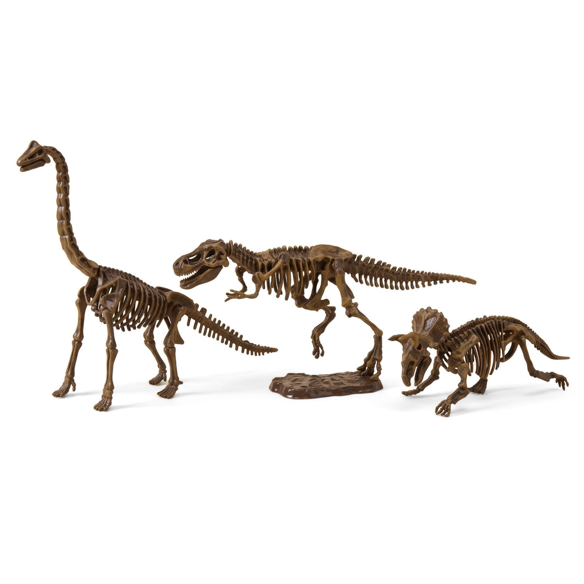 Three built dinosaur skeletons side by side: a long-necked brachiosaurus, a T. rex on a stand and a triceratops