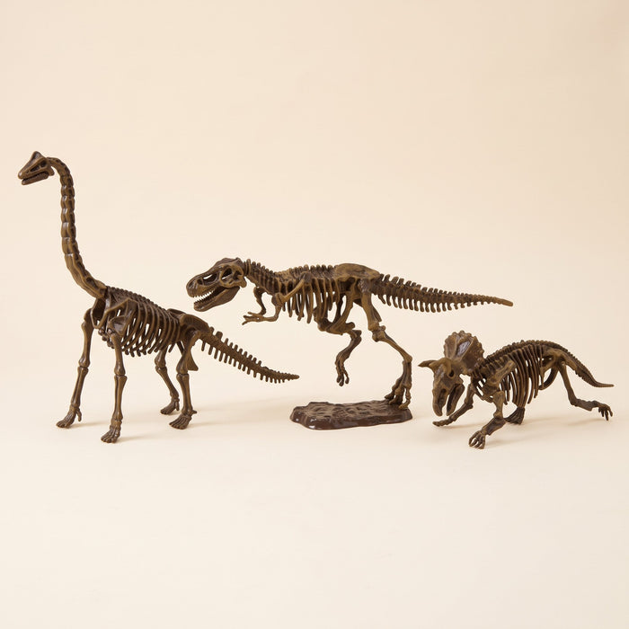 Three built dinosaur skeletons side by side: a long-necked brachiosaurus, a T. rex on a stand and a triceratops